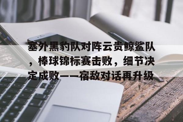 塞外黑豹队对阵云贵鲸鲨队，棒球锦标赛击败，细节决定成败——宿敌对话再升级-九游体育平台