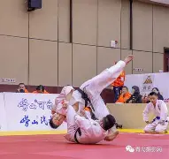 柔道赛场再起风云：燕山赤兔队惊险晋级漓江火箭队，赛场气氛火爆锋线火力回暖的简单介绍-九游体育官方网站