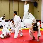 柔道赛场再起风云：燕山赤兔队惊险晋级漓江火箭队，赛场气氛火爆锋线火力回暖的简单介绍